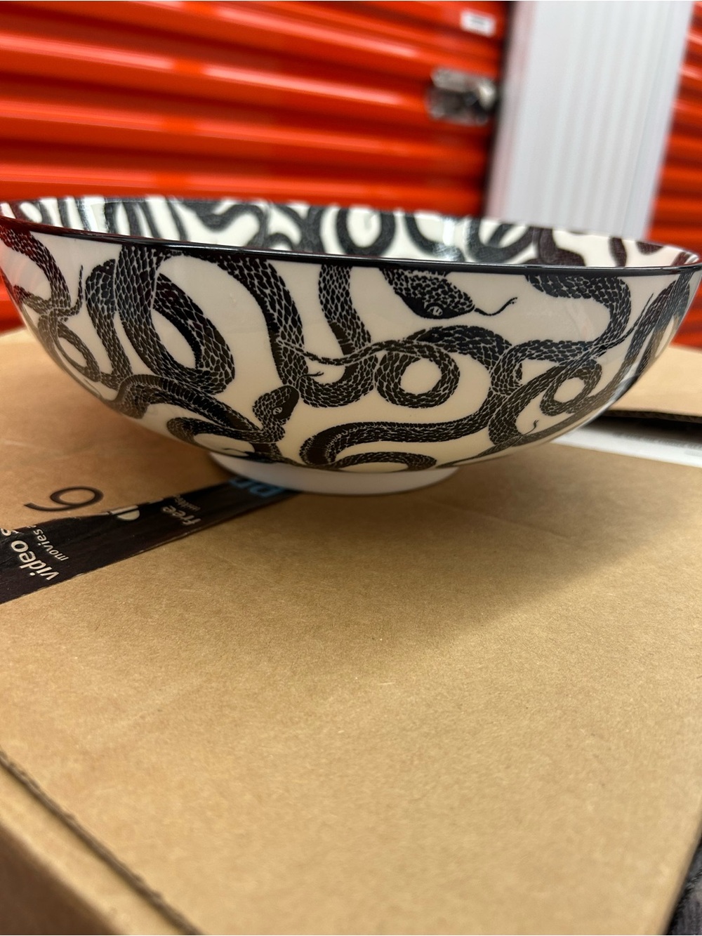 Black Snake Pattern Ceramic Decorative Bowl